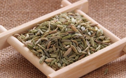 如何選擇茶葉包裝機廠家？選擇標(biāo)準(zhǔn)解析茶葉包裝機廠家。